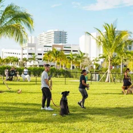 DOG PARKS people and animals in a dog park