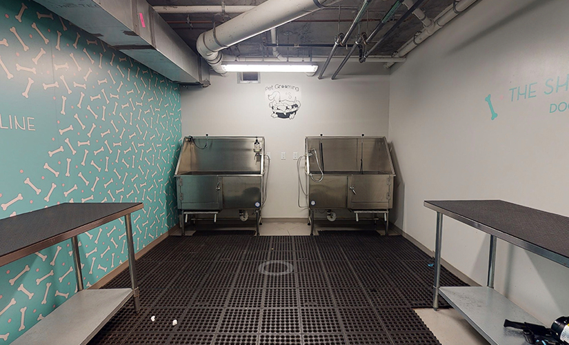 Pet Grooming Station at Shoreline pet grooming with two metal tubs