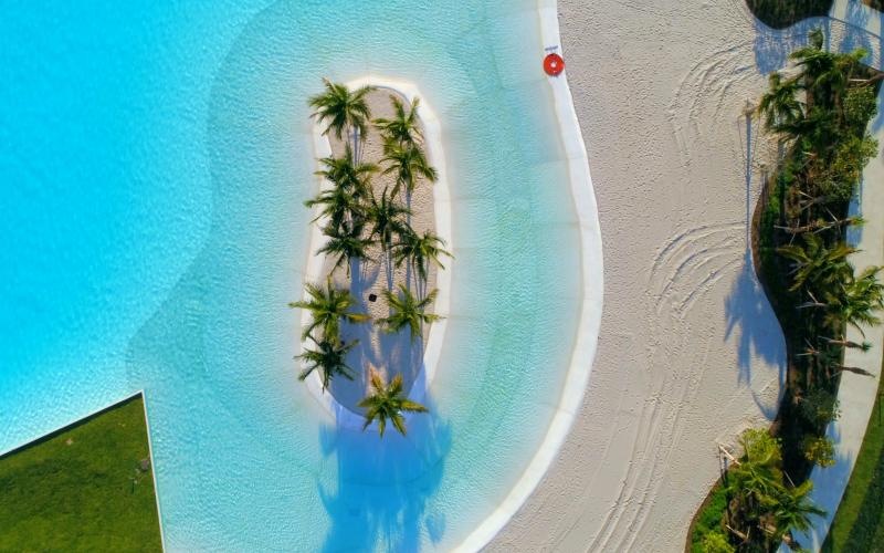 a beach with palm trees