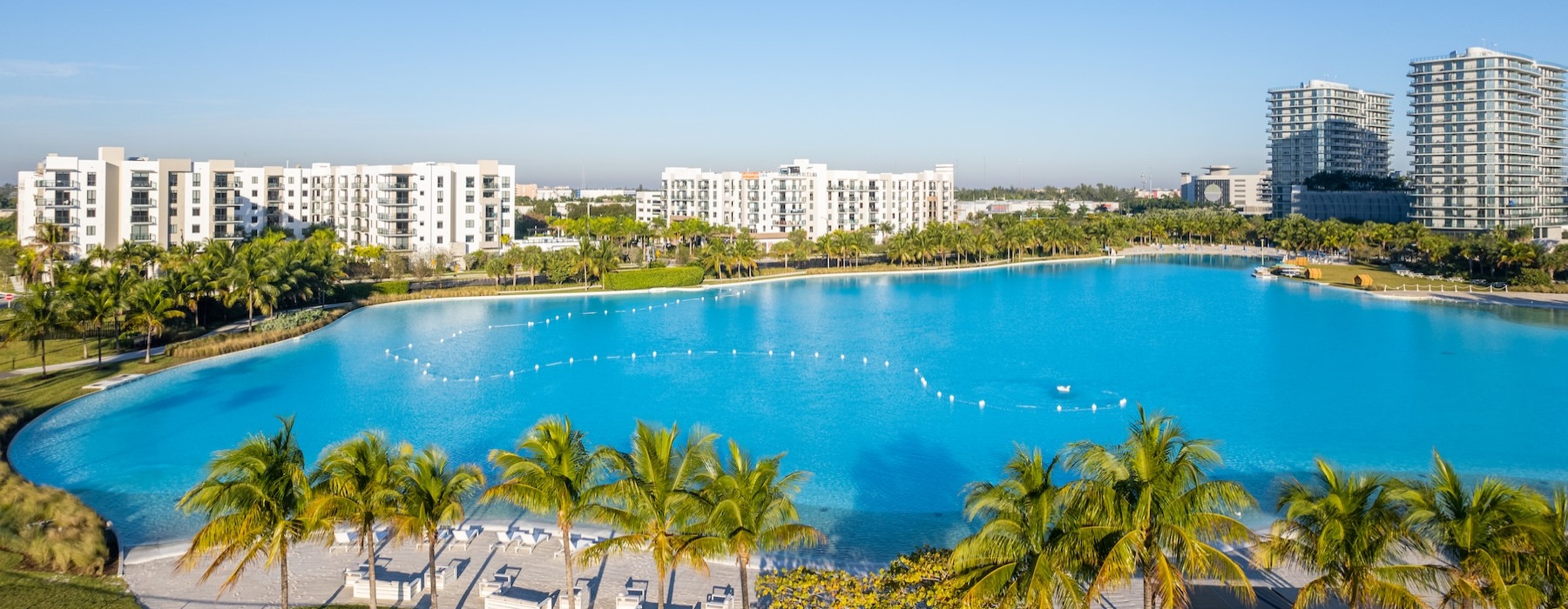 a large body of water surrounded by buildings and palm trees