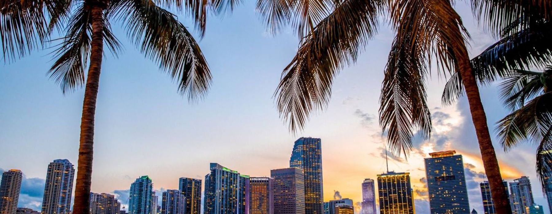Downtown Miami skyline illuminated at sunset, viewed across the water and framed by two large palm trees in the foreground