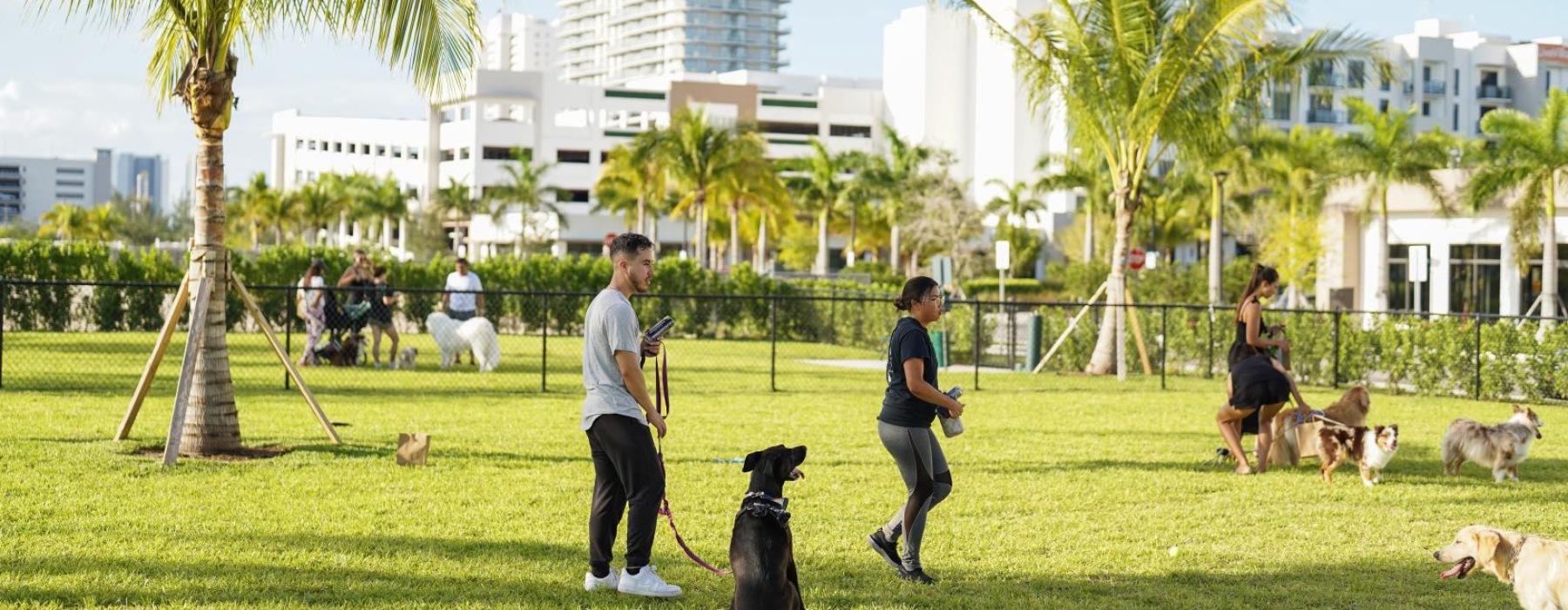 a group of people with dogs in a park