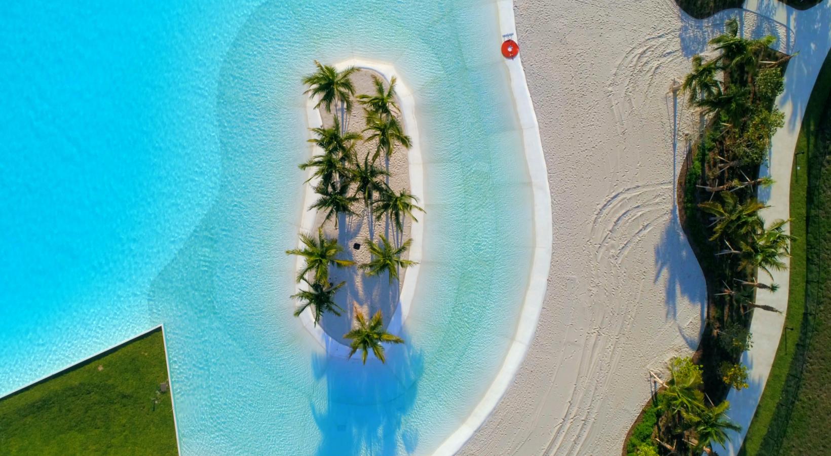 White-sand beaches, sparkling waters, and tropical landscapes create an everyday escape. a beach with palm trees